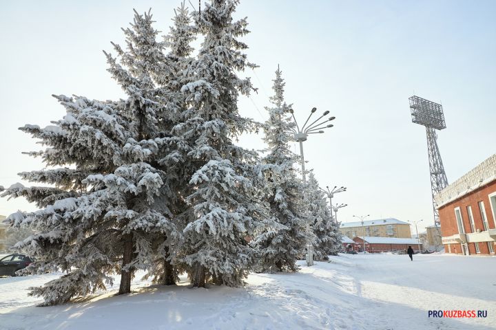 Погода в Кузбассе в январе может оказаться ниже климатической нормы