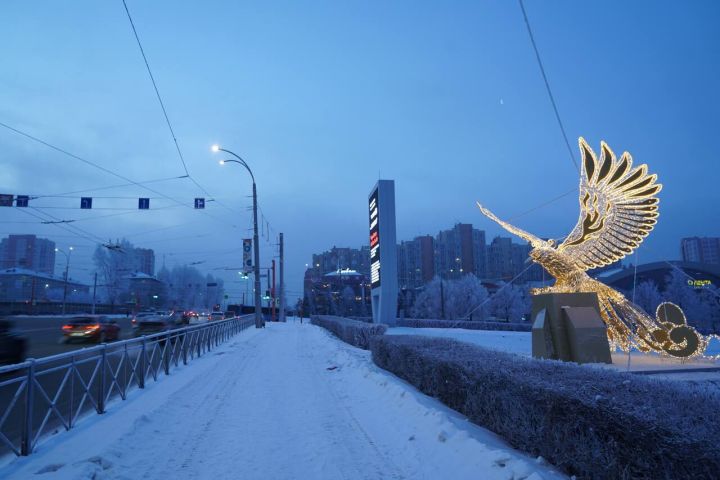 Большая жар-птица засияла возле цирка в Кемерове