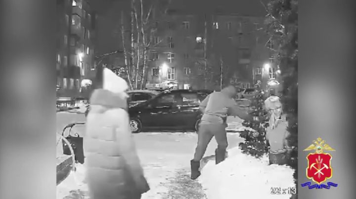 Молодая девушка и ее брат похитили наряженную ель в Новокузнецке ради подарка маме