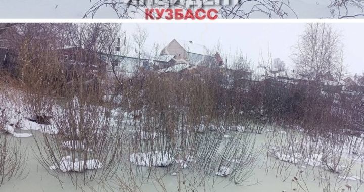 Огороды жителей частного сектора в Кемерове ушли под воду
