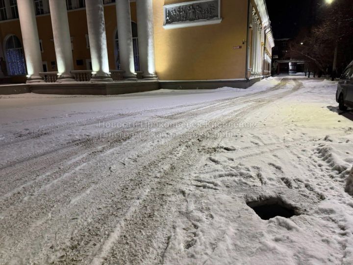 Прокопчанка оказалась в опасности из-за падения своей собаки в открытый колодец
