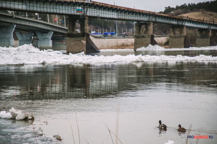 Власти запланировали расчистить Беловское водохранилище и участок Томи в Кемерове