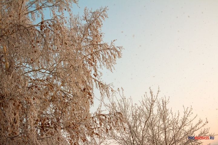 До -22°C ожидается в Кузбассе в первый день февраля