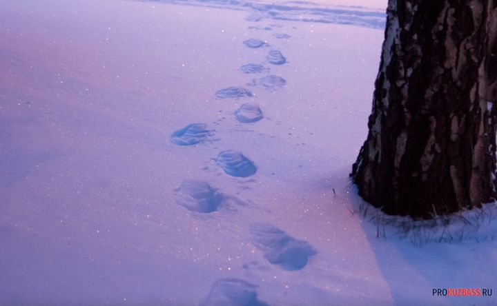 Похолодание до -29 градусов ожидается в Кузбассе