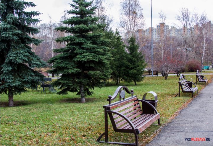 В кемеровской администрации ответили на вопрос о реконструкции парка «Антошка»