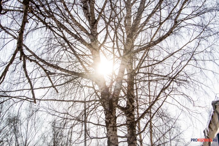 Потепление до +5 градусов ожидается в Кузбассе