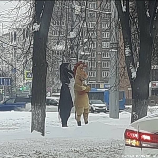 В Новокузнецке поймали коней, вымогающих деньги у жителей