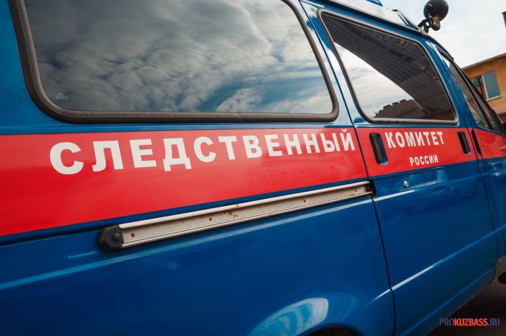 В Кемерове бездомная собака напала на мужчину