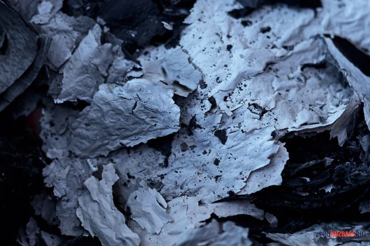 Полицейские задержали новокузнечанку, рассыпавшую горячую золу на дорогу