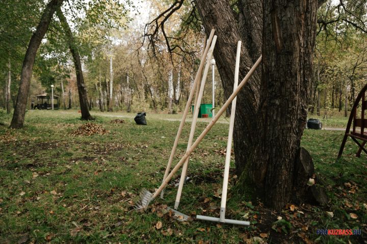 Власти ответили на вопрос о ремонте Кузбасского парка в Кемерове