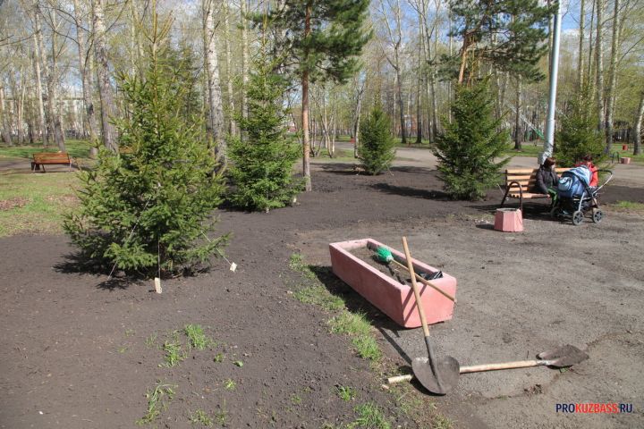 На улицах спального района Новокузнецка наведут порядок за 160 миллионов