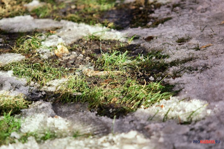 Выходные в Кузбассе начнутся с потепления до +6°С