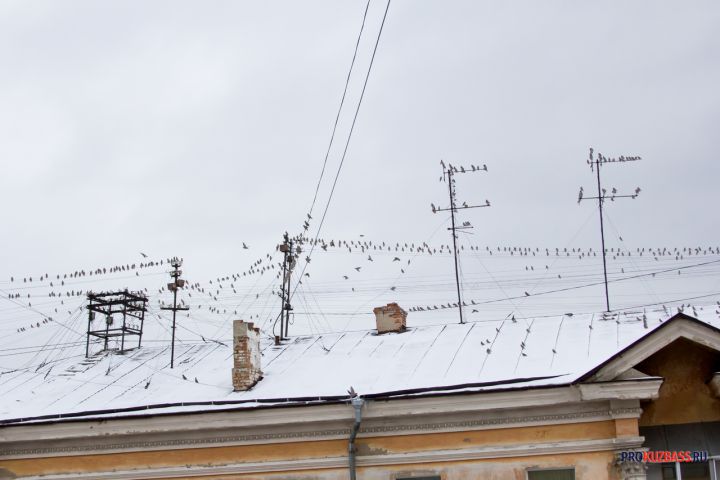 Инспекторы ГЖИ Кузбасса выписали штрафов на сумму более 1 миллиона рублей