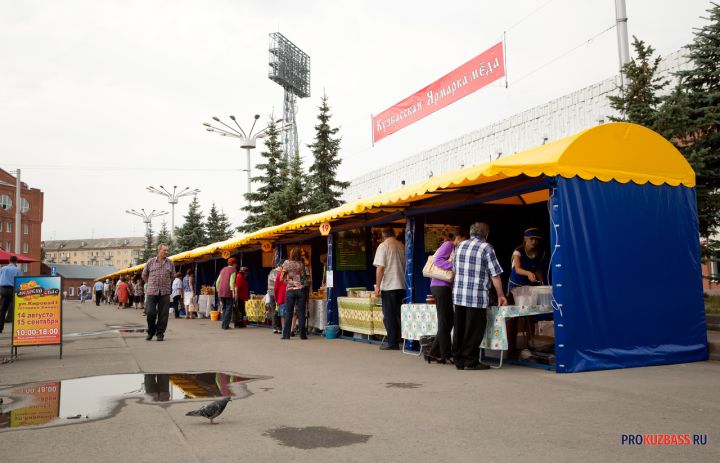 В Кузбассе выросло количество ярмарок сельхозпродукции