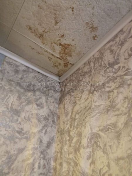 В Прокопьевске затопило квартиру талыми водами с крыши
