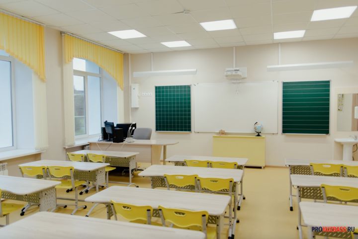 Министр образования Кузбасса взяла на контроль ситуацию с буллингом в школе Кемерова