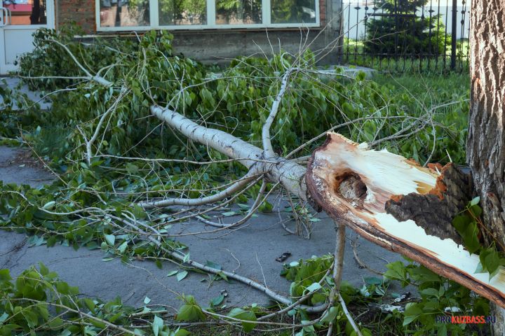 Жители Кузбасса показали последствия сильного ветра