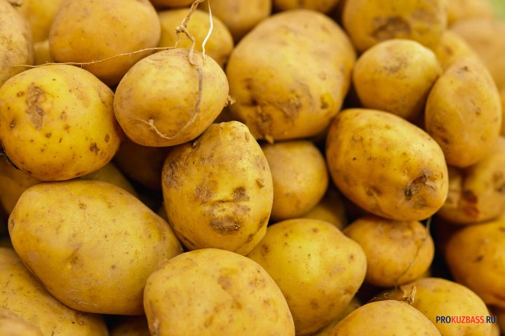 В Кузбассе объяснили рост цен на картофель