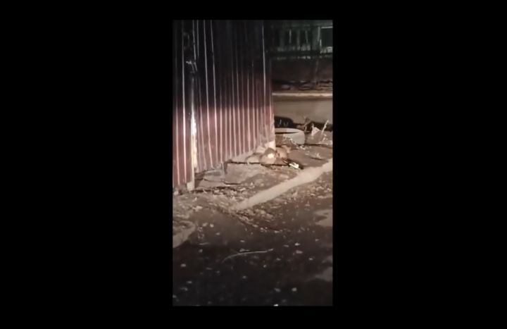 В Новокузнецке крысы обосновались вблизи торгового комплекса