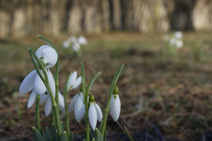 От -7°C до +22°C: синоптики рассказали о погоде в Кузбассе на неделе