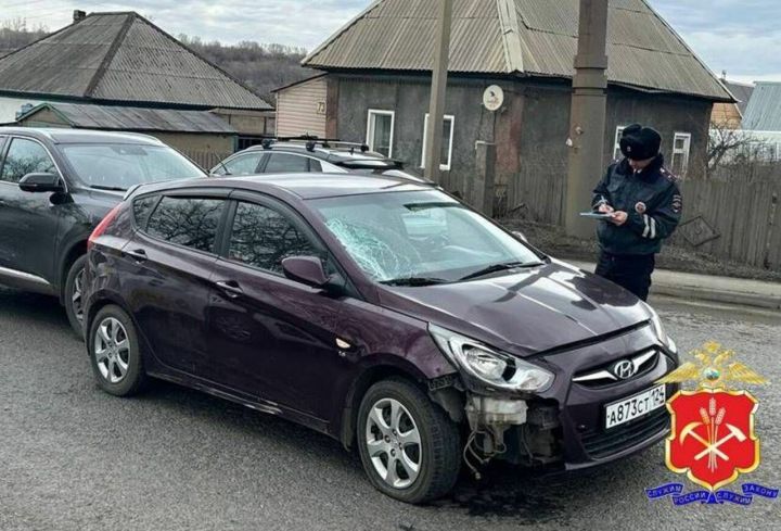 Суд отправил водителя в СИЗО за наезд на сотрудника дорожной службы