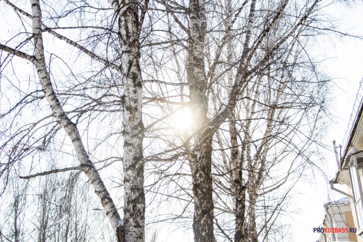 В Кузбассе на выходных потеплеет до +27 °C