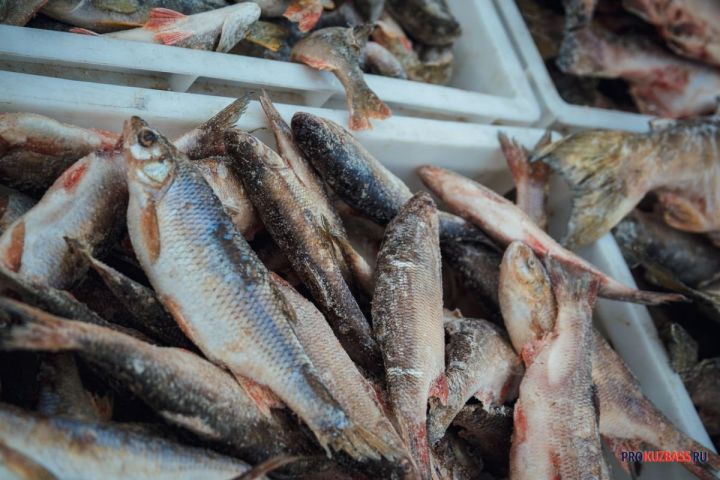 Елена Малышева назвала продукты питания для долголетия