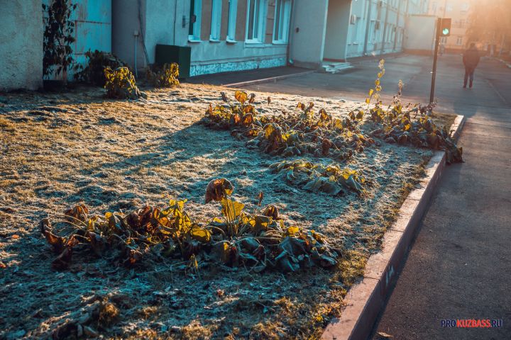 Похолодание до -6°C вернется в Кузбасс к началу мая