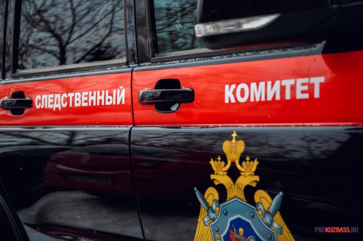 СК организовал проверку по факту травмирования ребенка лошадью в Новокузнецке