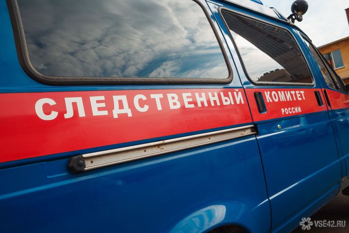 Александр Бастрыкин потребовал возбудить дело о непринятии мер к отлову безнадзорных собак в Кемерове