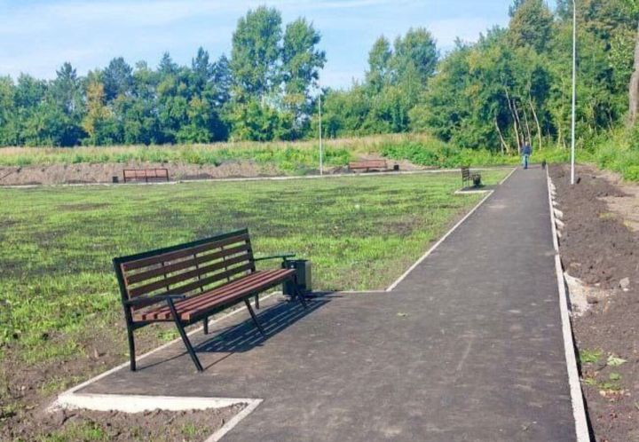 Денис Ильин сообщил о ходе благоустройства городских территорий в Новокузнецке