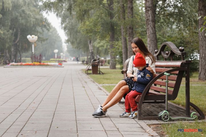 Опрос: 75% сибиряков считают, что школьников необходимо обучать использованию ИИ 