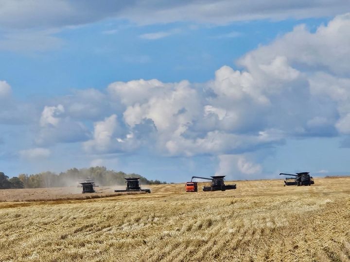 Мэр Гурьевска призвал сельских жителей «держаться»