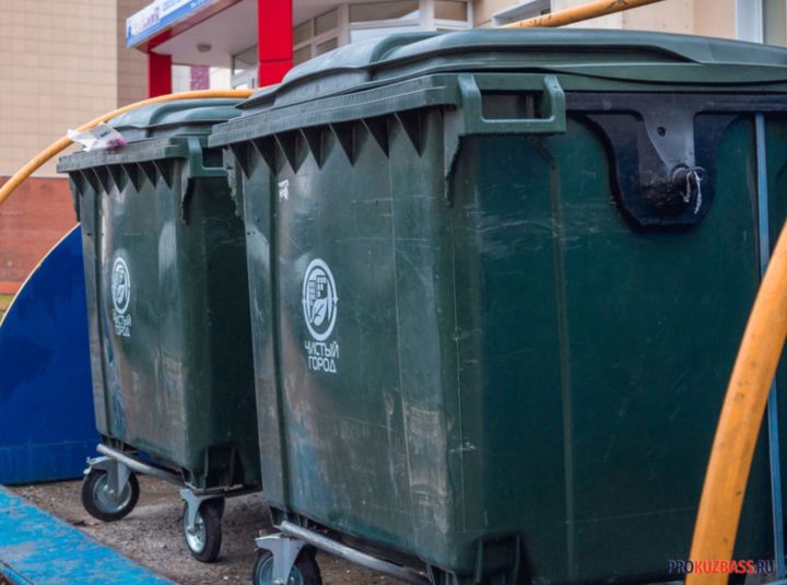 В Кемерове потратят 25 млн рублей на ликвидацию свалки