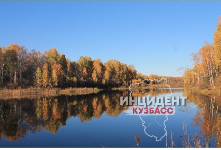 Жители Кузбасса заявили о коррумпированном захвате их села