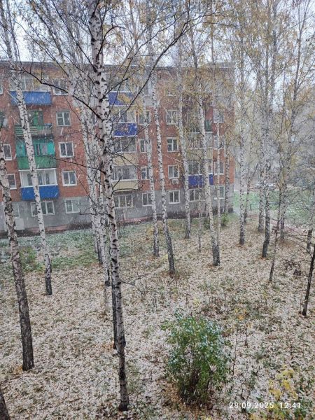 В Кузбассе выпал  снег
