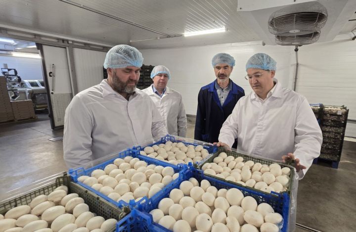 Глава правительства Кузбасса побывал на производстве шампиньонов