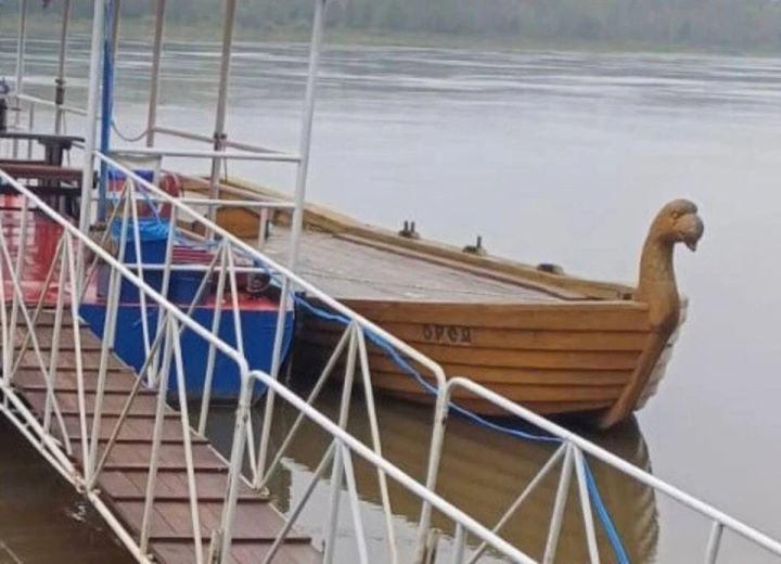 Знаменитый корабль с «Томской писаницы» возил людей с нарушениями