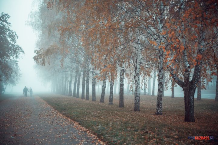 Жителей Кузбасса ждет резкое похолодание до -13 градусов