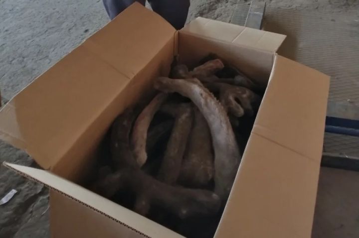 Кузбасс снабжает Китай «лекарством от смерти»