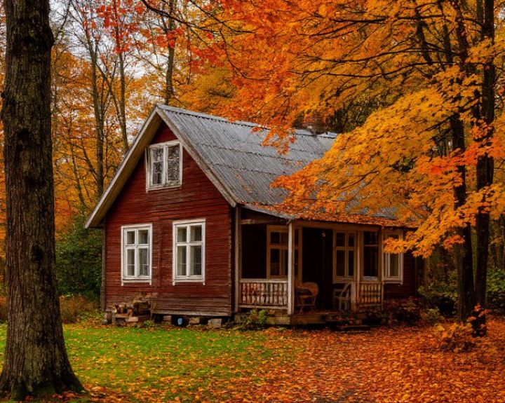 Список осенних дачных работ, без которых можно погубить будущий урожай