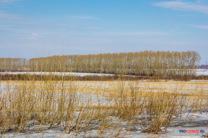 В Кузбассе нашли более восьми гектаров заброшенной земли