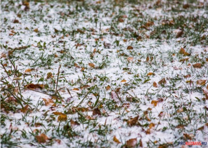 -13 градусов ожидается в Кузбассе