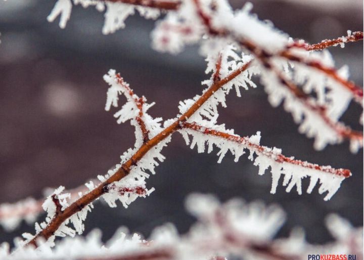 В Кузбассе установились экстремальные холода