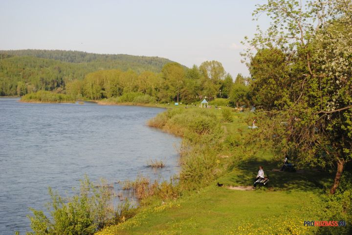 В Кузбассе продают бизнес по добыче золота за 570 миллионов