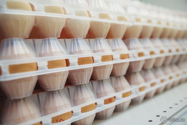 Абсолютное большинство кузбассовцев выбирает яйца в магазине неправильно