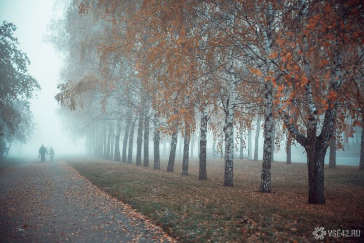 Заморозки до -14 градусов ожидаются в Кузбассе 19 октября