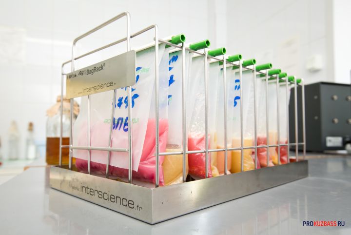 Проведены два эксперимента, доказавших естественное происхождение жизни