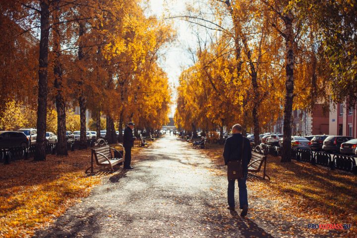 Сегодня в Кузбассе будет аномально тепло