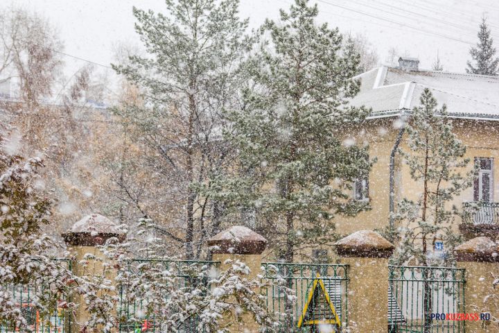 Новокузнецк получил паспорт готовности к зиме после проверки служб города